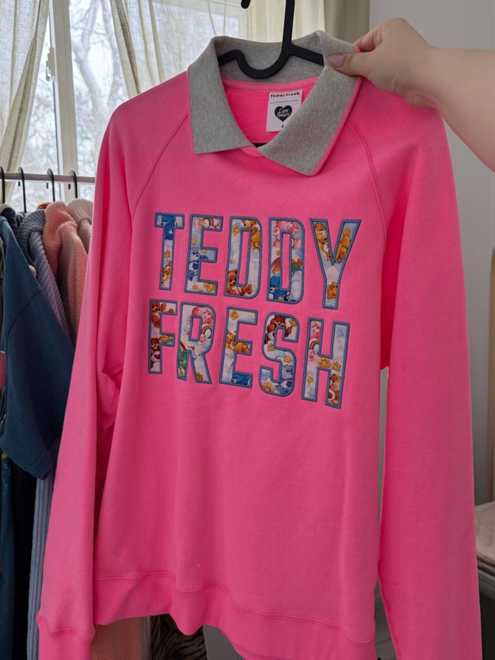 Teddy Fresh x CareBears Pink Collared Pullover Sweatshirt